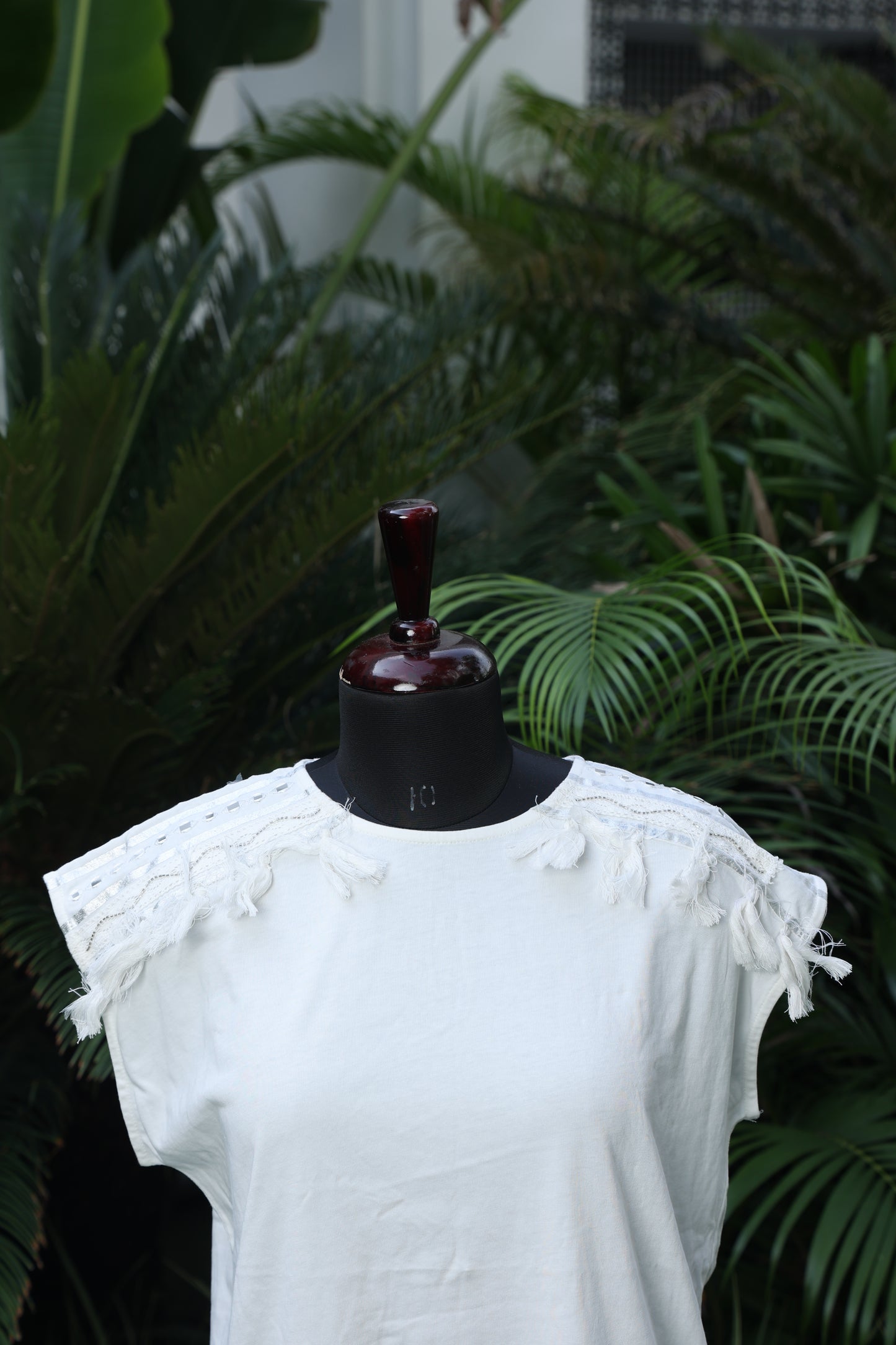 Whimsical Frill