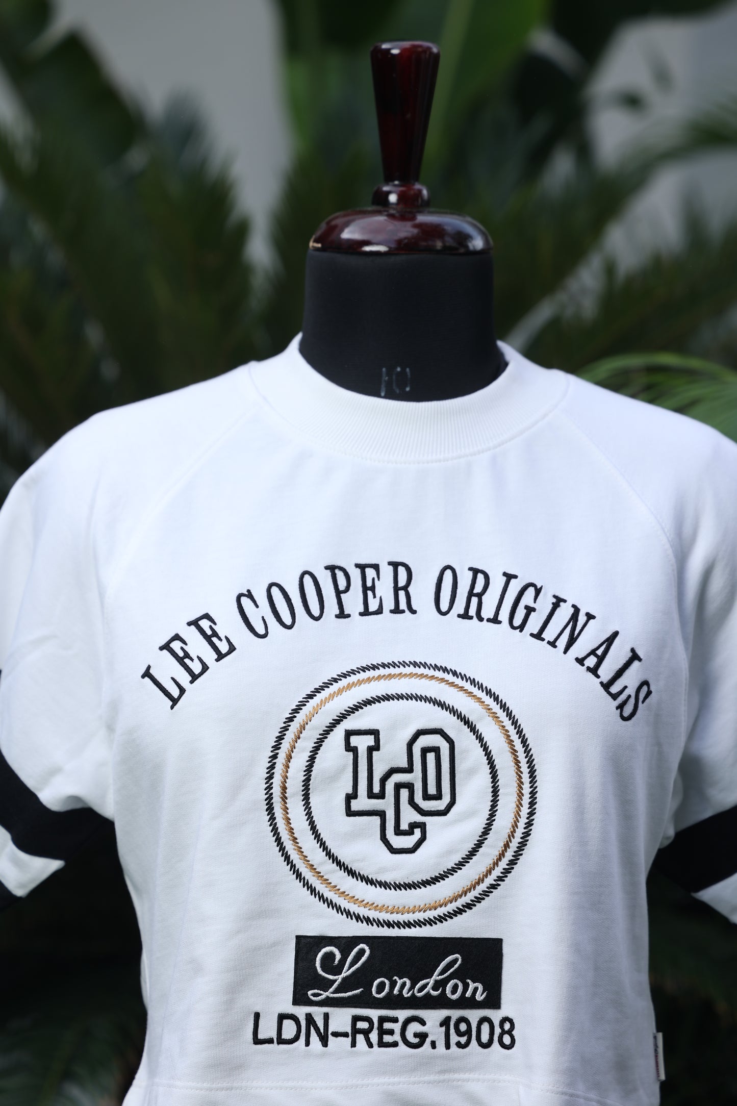 White Lee