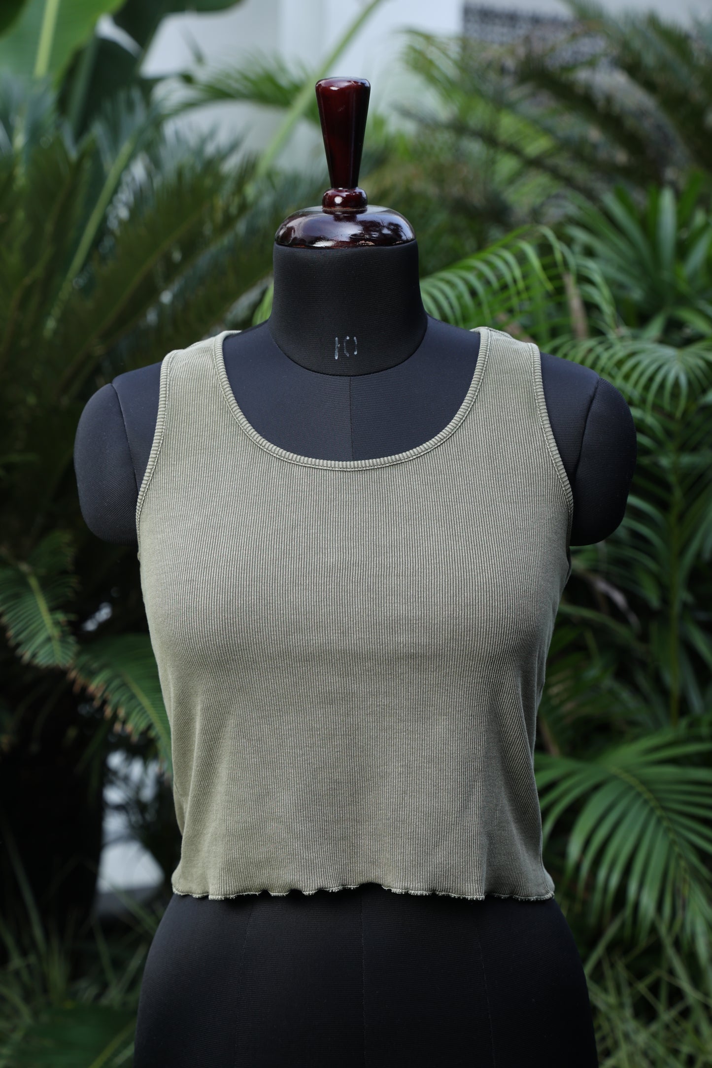 Olive Essence