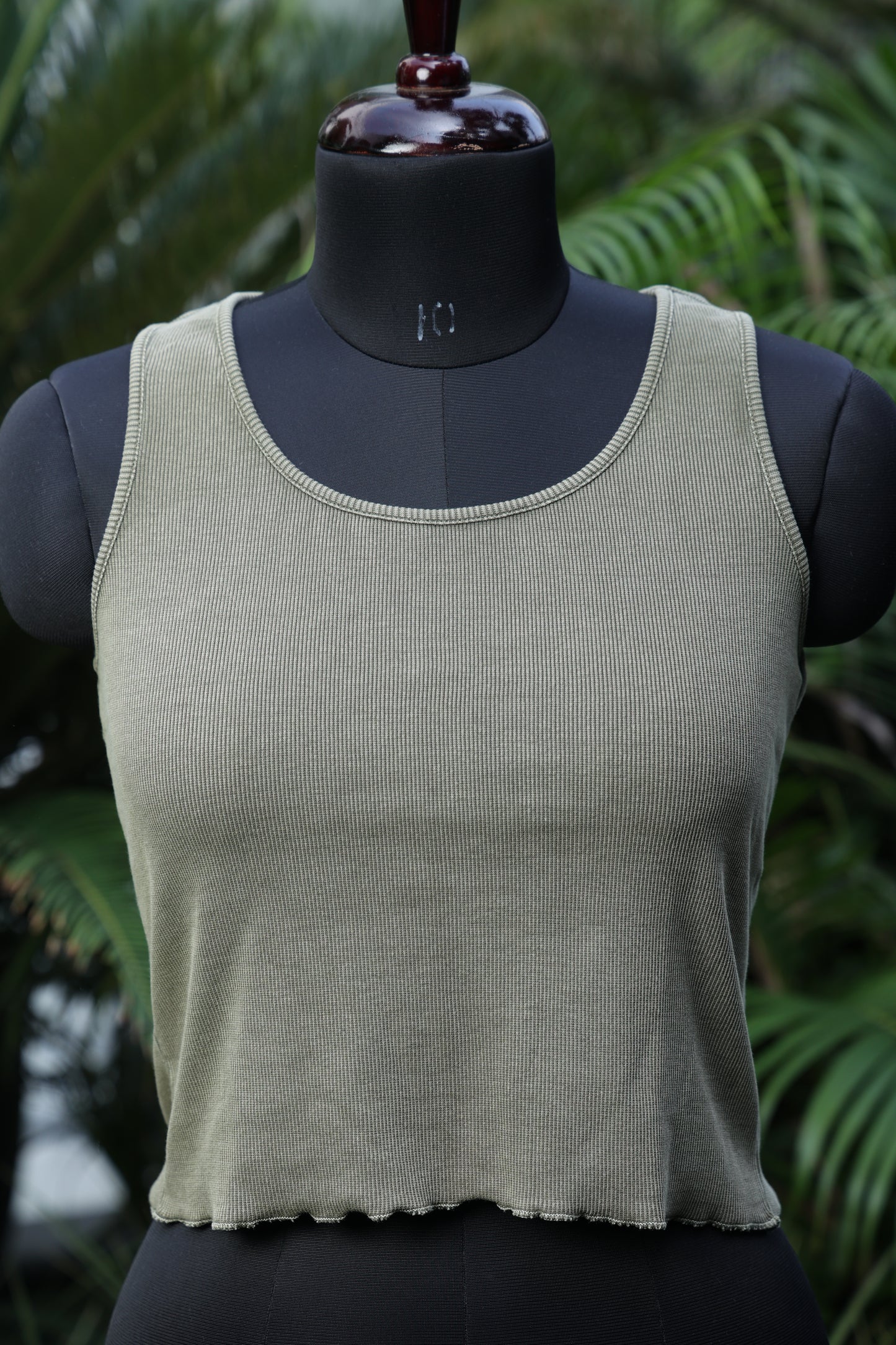 Olive Essence
