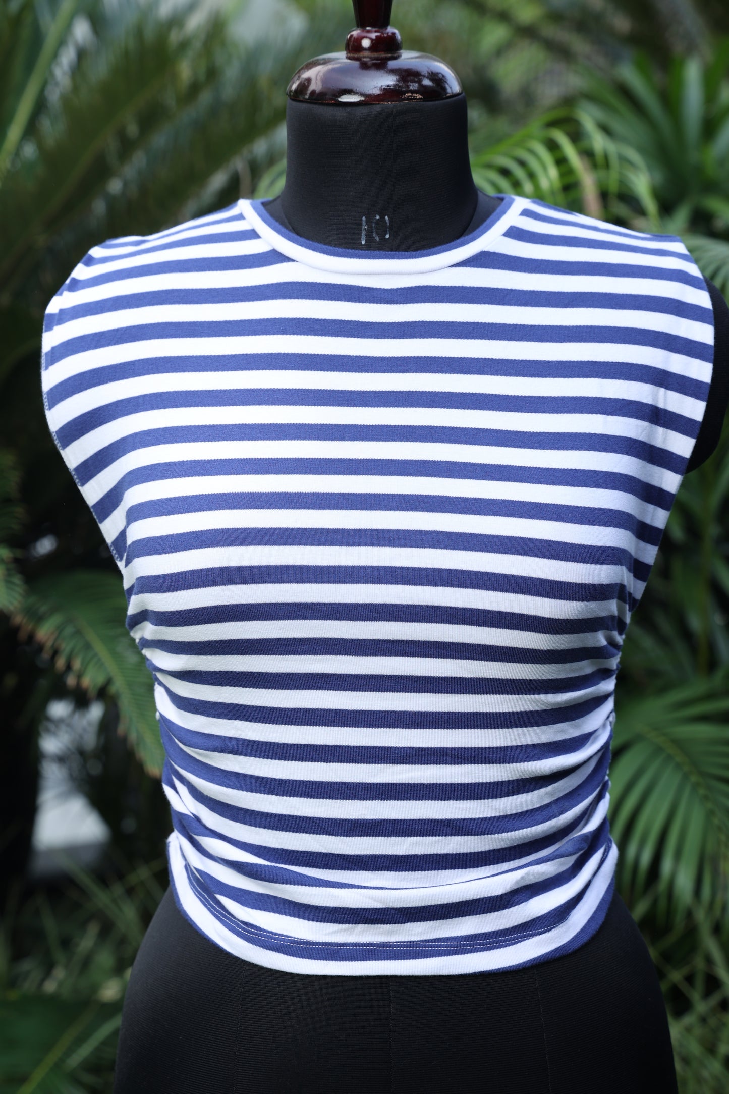 Stripes on the Horizon