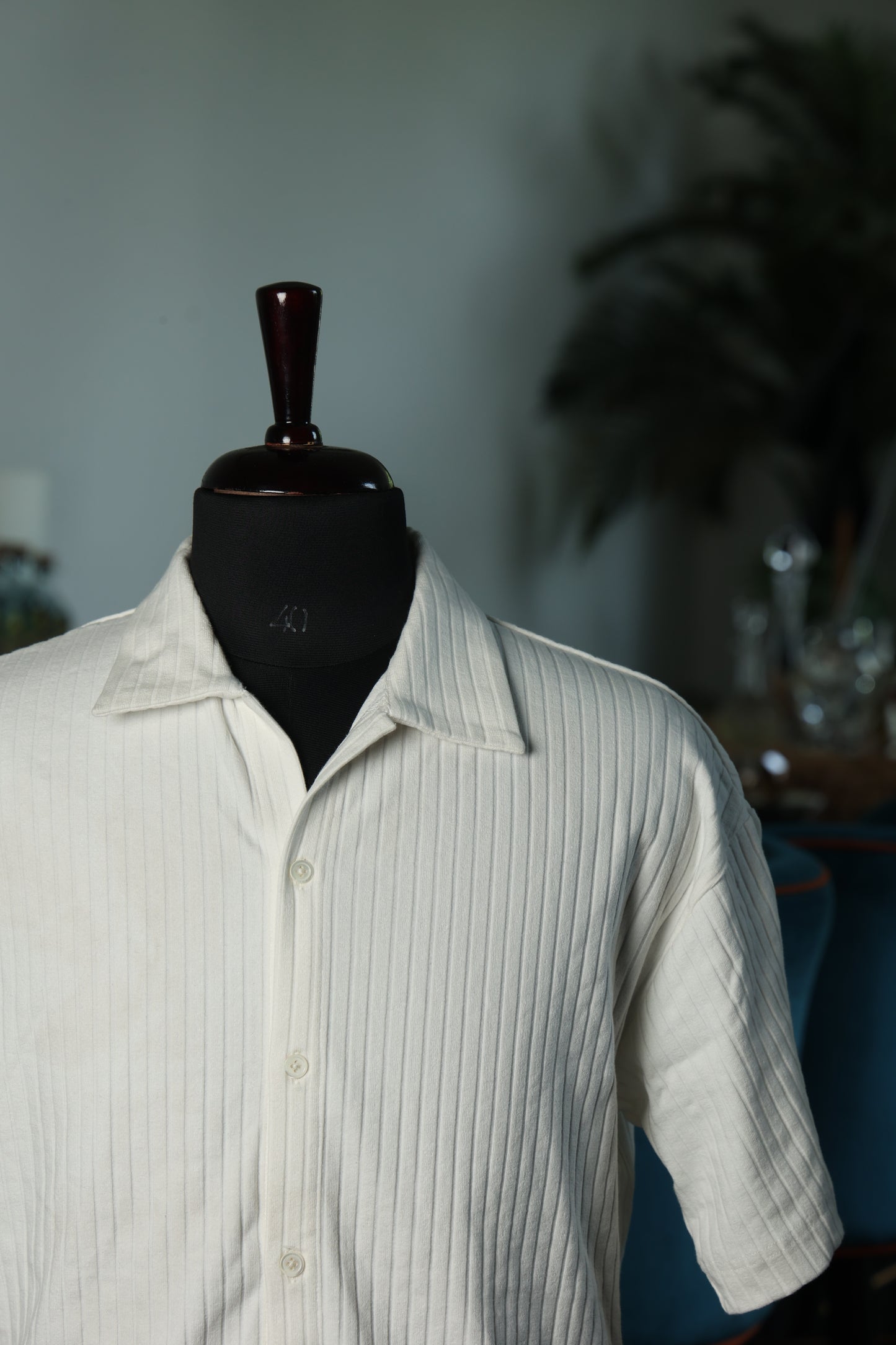 Classic White Shirt